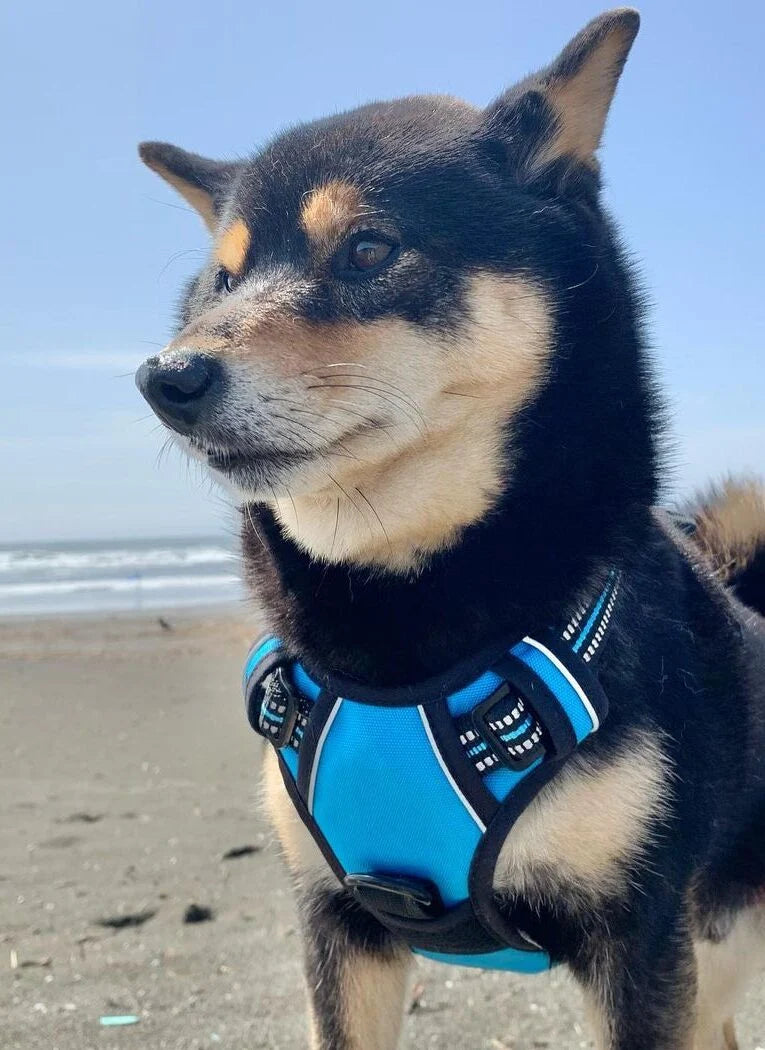 FurGlide™