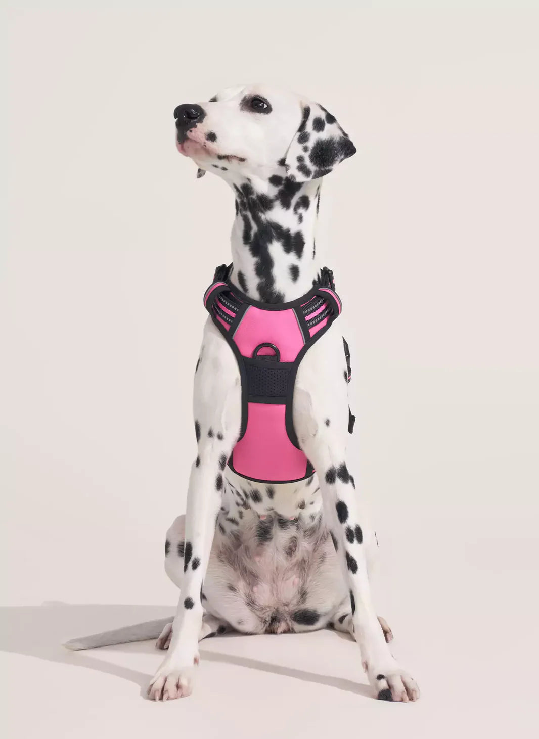 FurGlide™