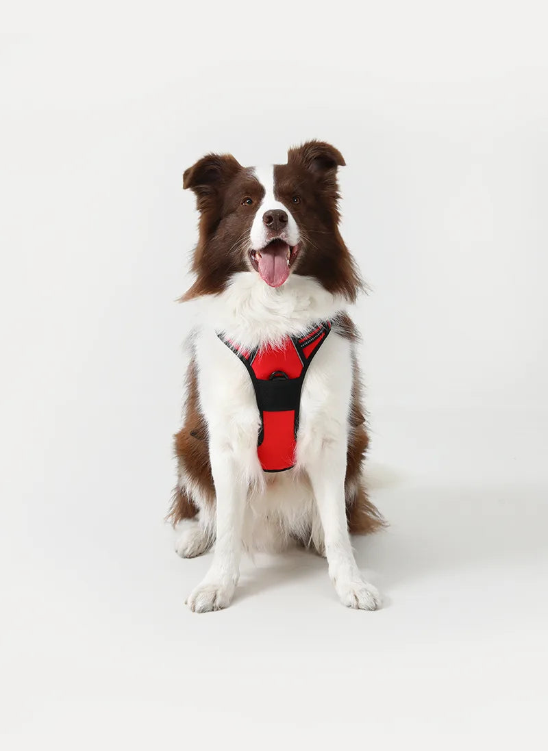 FurGlide™