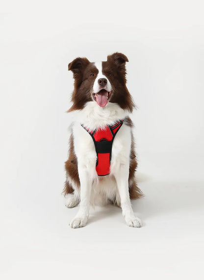 FurGlide™